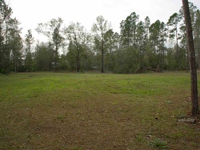 unlisted-address, Saint Augustine, FL 32092 - photo 3