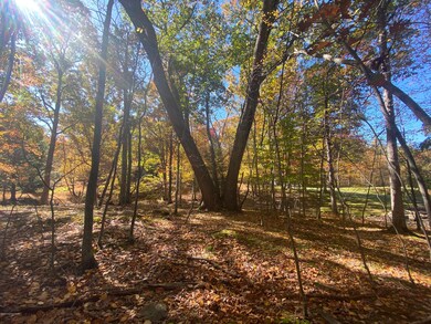 0 Mohican Rd unit PM-77144, Canadensis, PA 18325 - photo 3