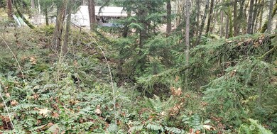 256 XX 86th Ave E, Graham, WA 98338 - photo 4