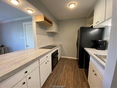 Cripple Creek Condos unit 7, College Station, TX 77840 - photo 6