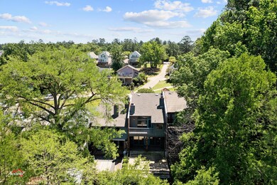 View of bird's eye view