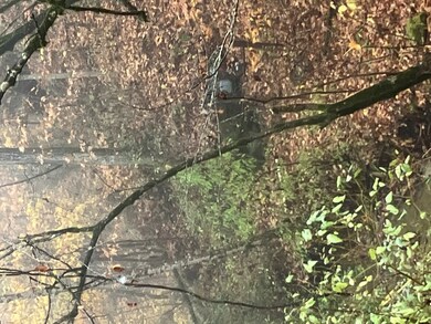 00 Hunter Branch Rd, Garrett, KY 41630 - photo 7