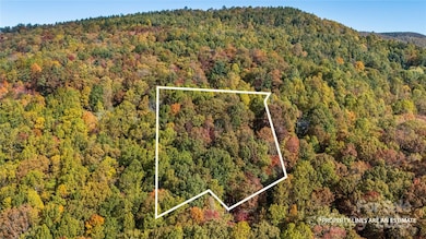 Lot 24 Ben Miller Rd unit 24, Deep Gap, NC 28618 - photo 4