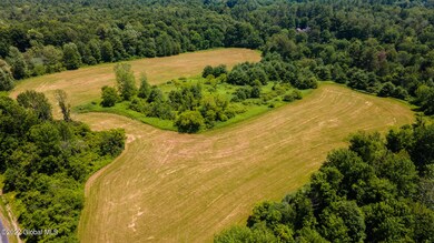 32 Palmer Terrace, Wilton, NY 12831 - photo 5