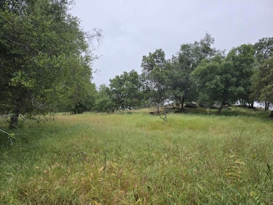 28826 Auberry Rd, Clovis, CA 93619 - photo 7