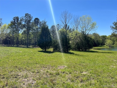 Lot 1 N Leahmon Ln, Mathews, AL 36052 - photo 7