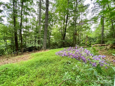 400 Emerald Hills Dr, Pisgah Forest, NC 28768 - photo 3