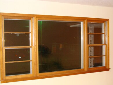 Living Room Windows
