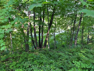 XXX Maple Island Dr SE, Hudson Township, MN 56334 - photo 7