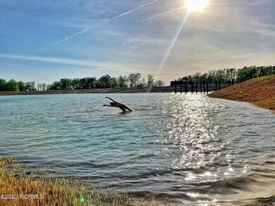 lake swimming