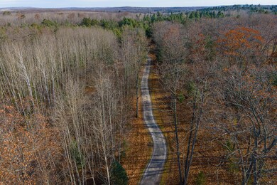 DJI_0158