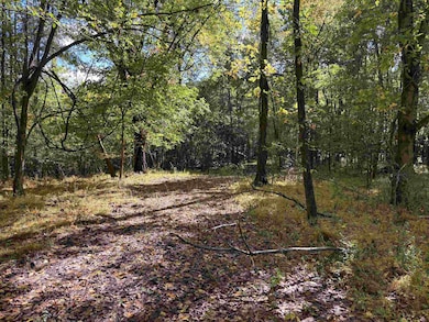 0 Bethuel Rd unit 15, Unincorporated, TN 38053 - photo 4