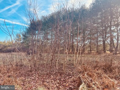 0 Kennon Rd unit VALA2004902, Mineral, VA 23117 - photo 6