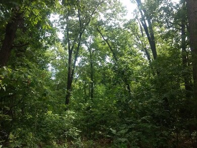 0 Trafalgar Road & Lytham Ln unit 1069185, Bella Vista, AR 72714 - photo 5