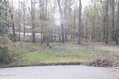 1069 Halton Ct, Brandon, MS 39047 - photo 7