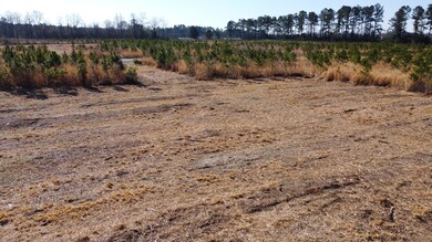 5 S Carolina 6, Cross, SC 29436 - photo 7