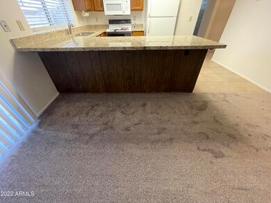 2517 N Sean Dr, Chandler, AZ 85224 - photo 5