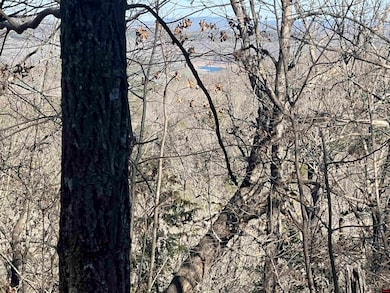 0 Mc 8060 unit 132985, Yellville, AR 72687 - photo 7