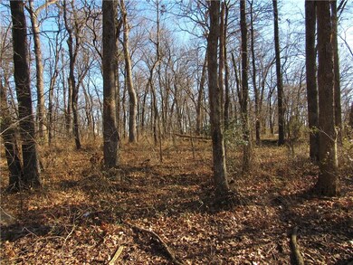 TBD LOT 4 Highway 43, Siloam Springs, AR 72761 - photo 6