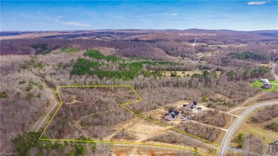 TBD Tot Hill Farm Rd, Asheboro, NC 27205 - photo 4