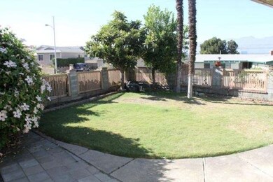 Spacious back yard area
