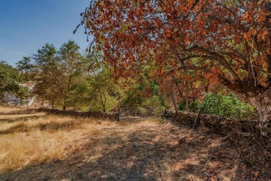 52-D David Dr, Sutter Creek, CA 95685 - photo 7