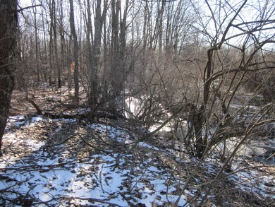 IMG_0464 - Copy