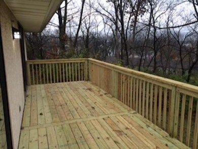 Large Back Deck