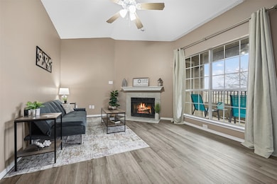 4113 Esters Rd unit 609, Irving, TX 75038 - photo 4