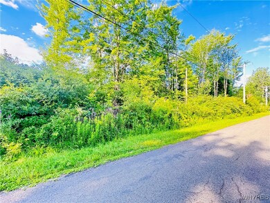 0 Sycamore Ave unit B1623308, Evans, NY 14006 - photo 3