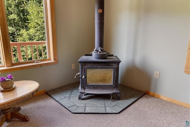 Detailed view of a wood stove and carpet floors