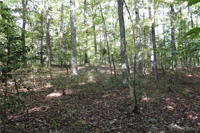 Interior Wooded Lot