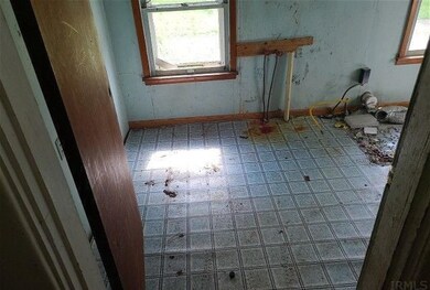 110 W Lithia St, Attica, IN 47918 - photo 5