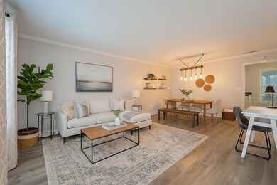 Living / Dining Room