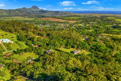4650 Uha Rd, Lawai, HI 96765 - photo 5