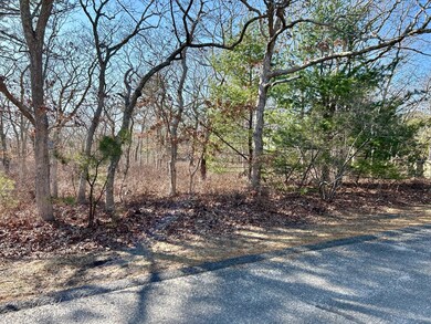 72 Windsor Dr, Edgartown, MA 02539 - photo 3