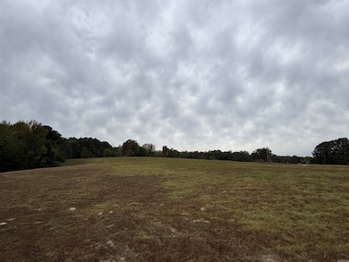 000 Lee Cove, Bryant, AR 72103 - photo 5