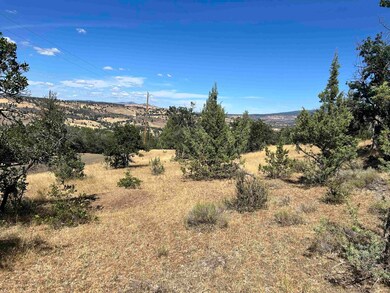 Unit 5 Lot #103 Greenfinch Way unit 5, Hornbrook, CA 96064 - photo 4