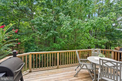 13064 Quartz Ln, Clifton, VA 20124 - photo 2