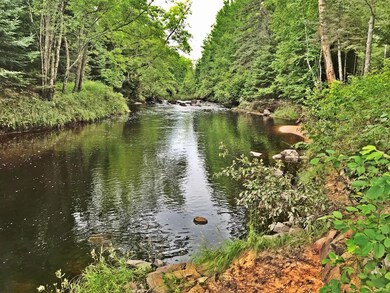 W8799 Honey Rd, Tomahawk, WI 54487 - photo 5