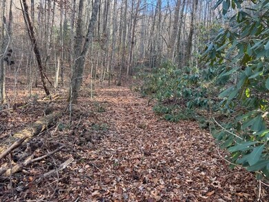 68 Acres Ponderosa Rd, Rabun Gap, GA 30568 - photo 7