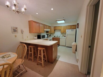 227 Main St unit 203, Lincoln, NH 03251 - photo 3