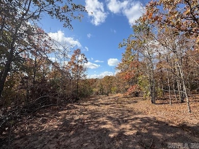 20 Summer Tyme Dr, Greenbrier, AR 72058 - photo 3