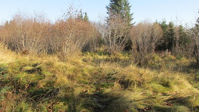IMG_1940
