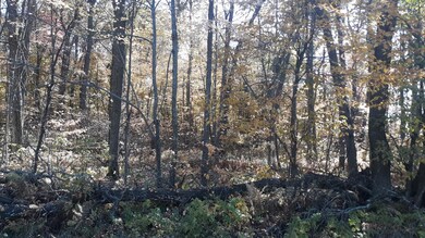 Lot 19 Block 13 285th Ave, Fawn Lake Township, MN 56438 - photo 4