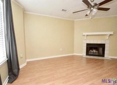Wood Burning Fireplace