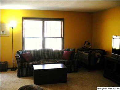 New Blinds Family Room