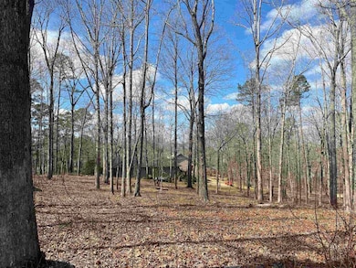 LOT 269 Sandpiper Pointe & Old South Rd, Counce, TN 38326 - photo 2