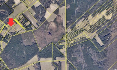 TBD Harden Rd, Pamplico, SC 29583 - photo 3