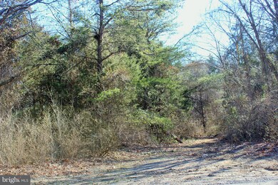 5721 Turner Rd, Broad Run, VA 20137 - photo 7